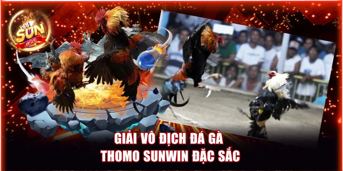 Đá Gà Thomo Sunwin | Sảnh Cược Đẳng Cấp Nhất Năm 2026 2 Giải vô địch Đá gà Thomo Sunwin đặc sắc