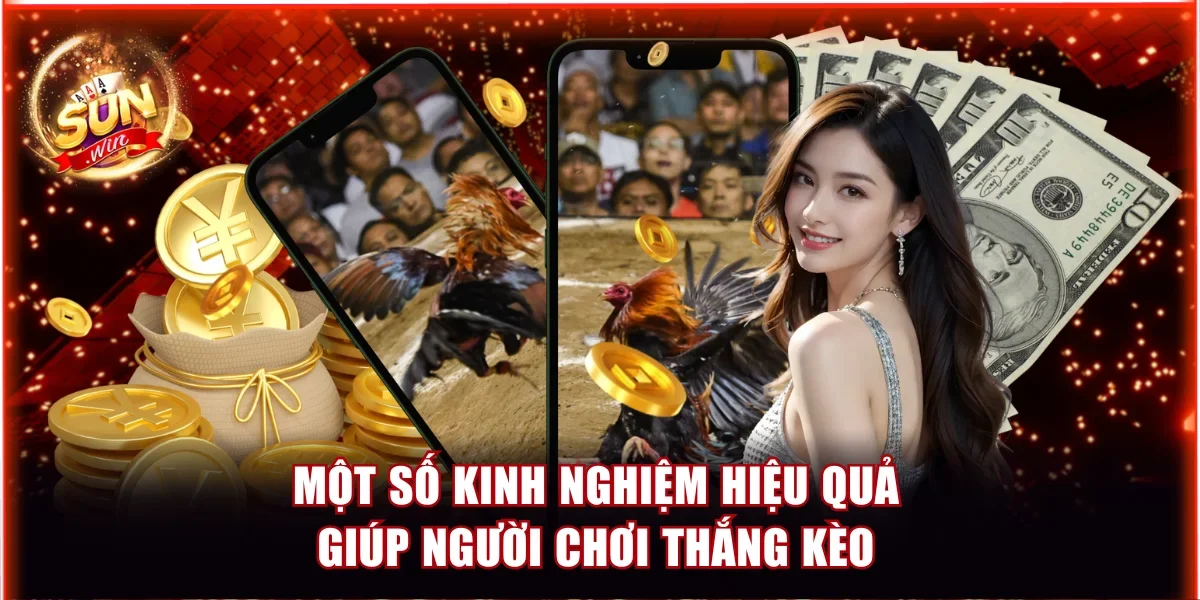 Đá Gà Thomo Sunwin | Sảnh Cược Đẳng Cấp Nhất Năm 2026 4 Một số kinh nghiệm hiệu quả giúp người chơi thắng kèo