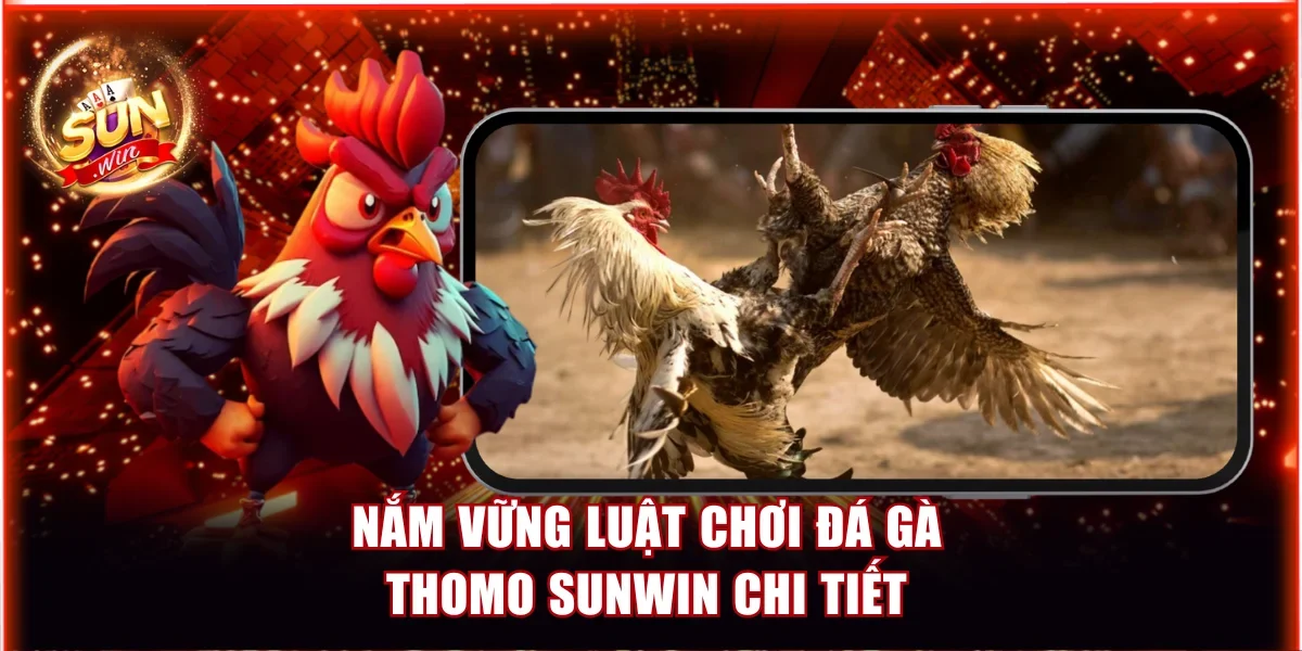 Đá Gà Thomo Sunwin | Sảnh Cược Đẳng Cấp Nhất Năm 2026 3 Nắm vững luật chơi Đá gà Thomo Sunwin chi tiết
