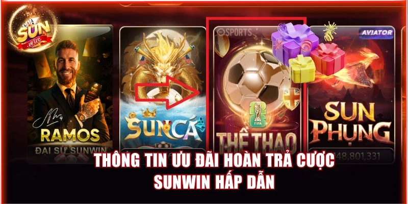 Thông tin ưu đãi hoàn trả cược Sunwin hấp dẫn