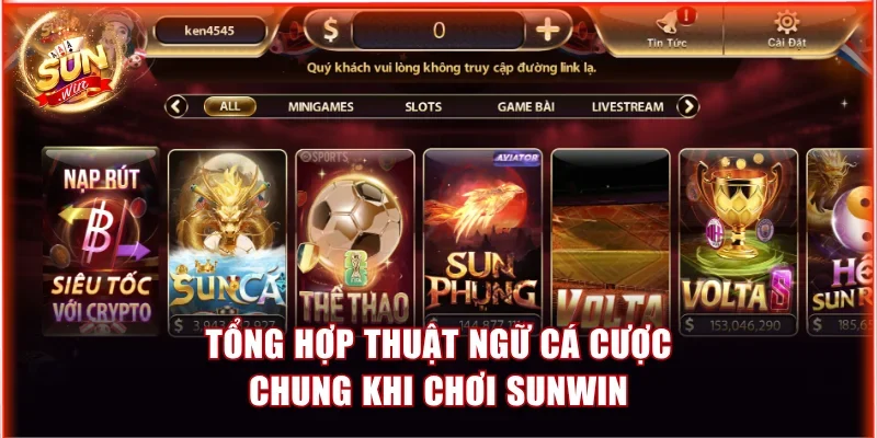 Tổng hợp thuật ngữ cá cược chung khi chơi Sunwin